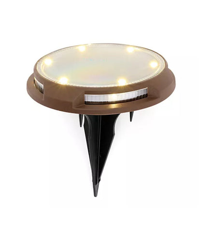 Energizer 10-pc Solar Disc Lights Multi-Direction 20 Lumen